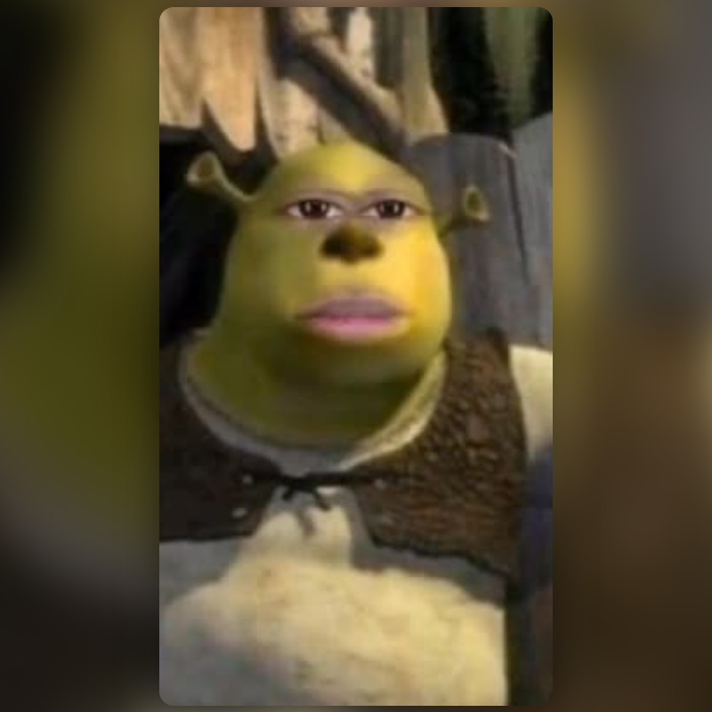 Shrek meme face Lente por Mark B – Lentes e Filtros do Snapchat